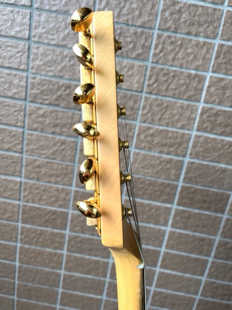 【動作◯】 シェクターネック コンポーネントギター