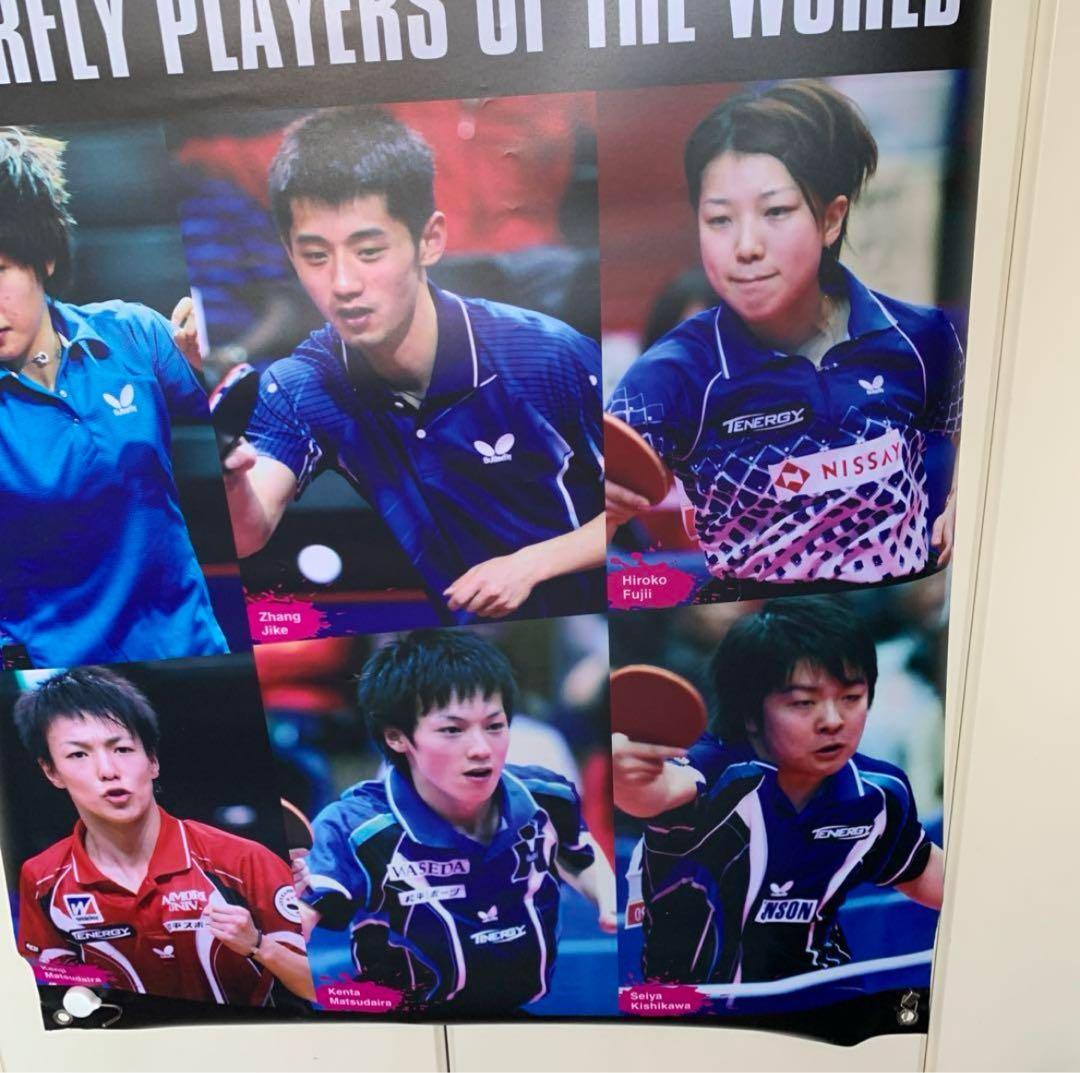 バタフライ PRAYERS OF YEAR 販促用特大タペストリー 卓球 水谷隼