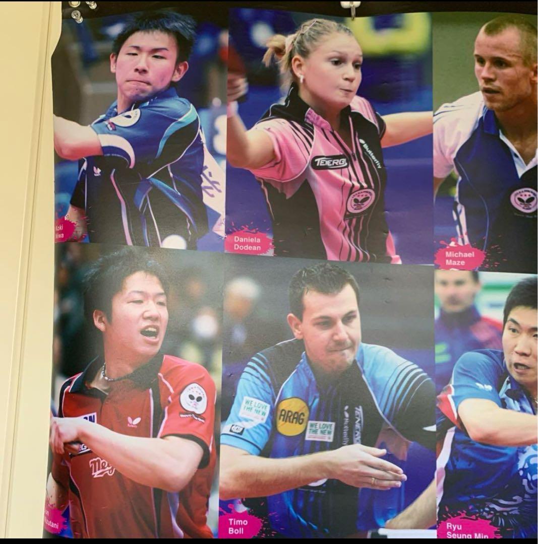 バタフライ PRAYERS OF YEAR 販促用特大タペストリー 卓球 水谷隼