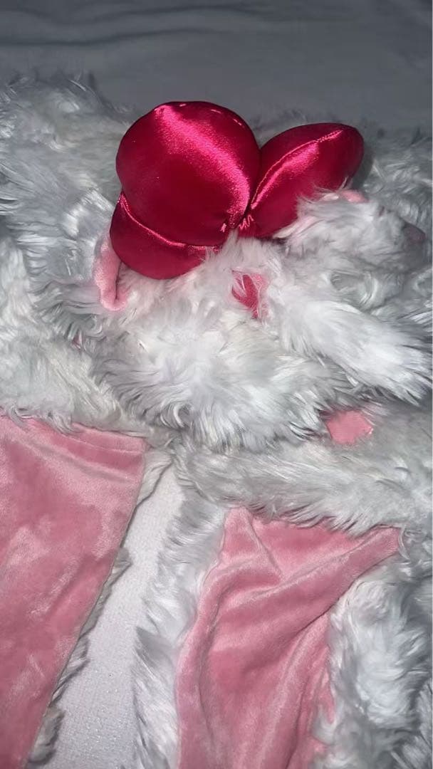 ディズニー　マリー　おしゃれキャット　ファンキャップ