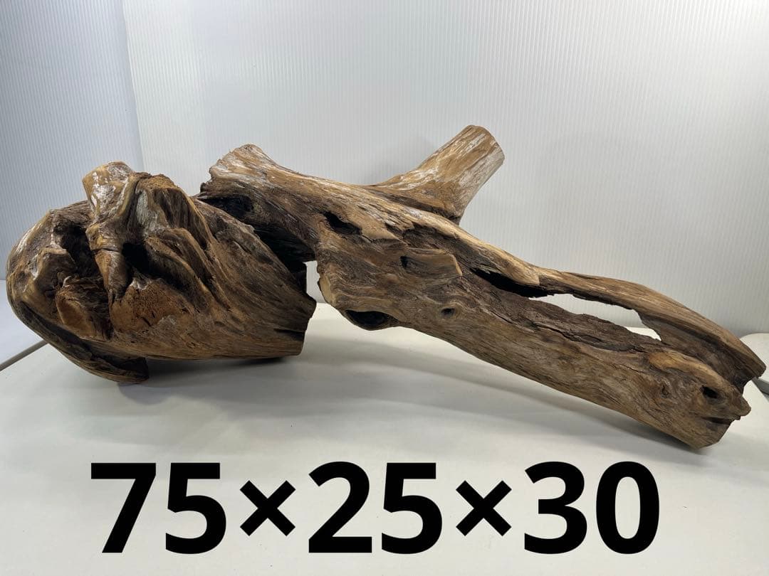 V70特大流木 アク抜き済み流木 爬虫類シェルター 登り木 インテリア 生け花