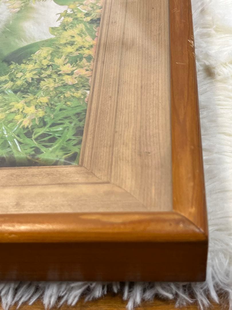 額入り61.0cm 立体壁掛け 仔猫達 （立体画）1154