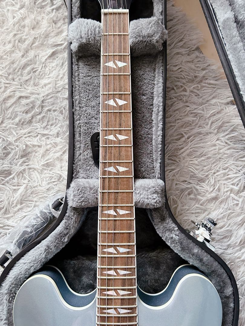 ギター Epiphone Dave Grohl DG-335