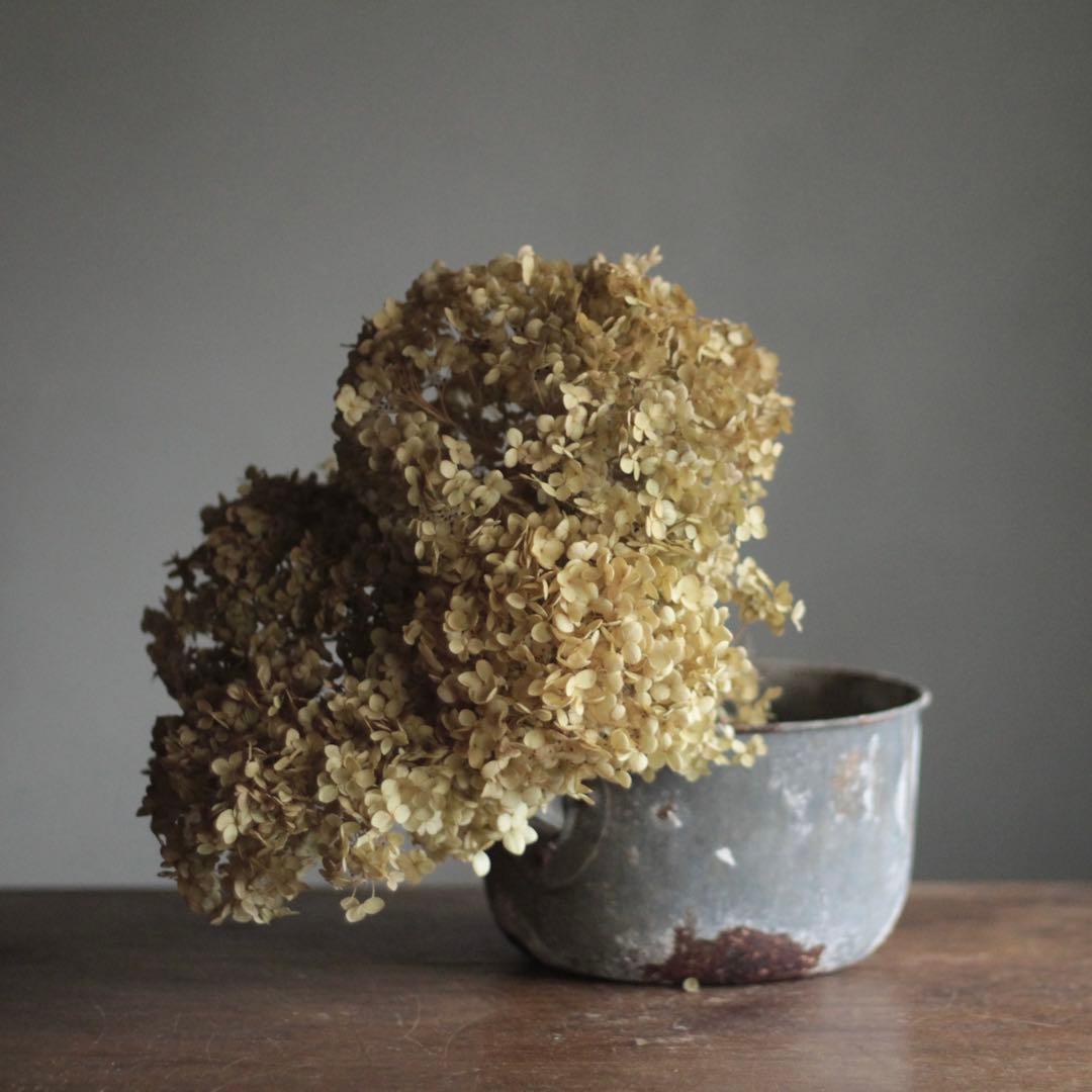 柄のない 柄杓 古道具 アンティーク オブジェ