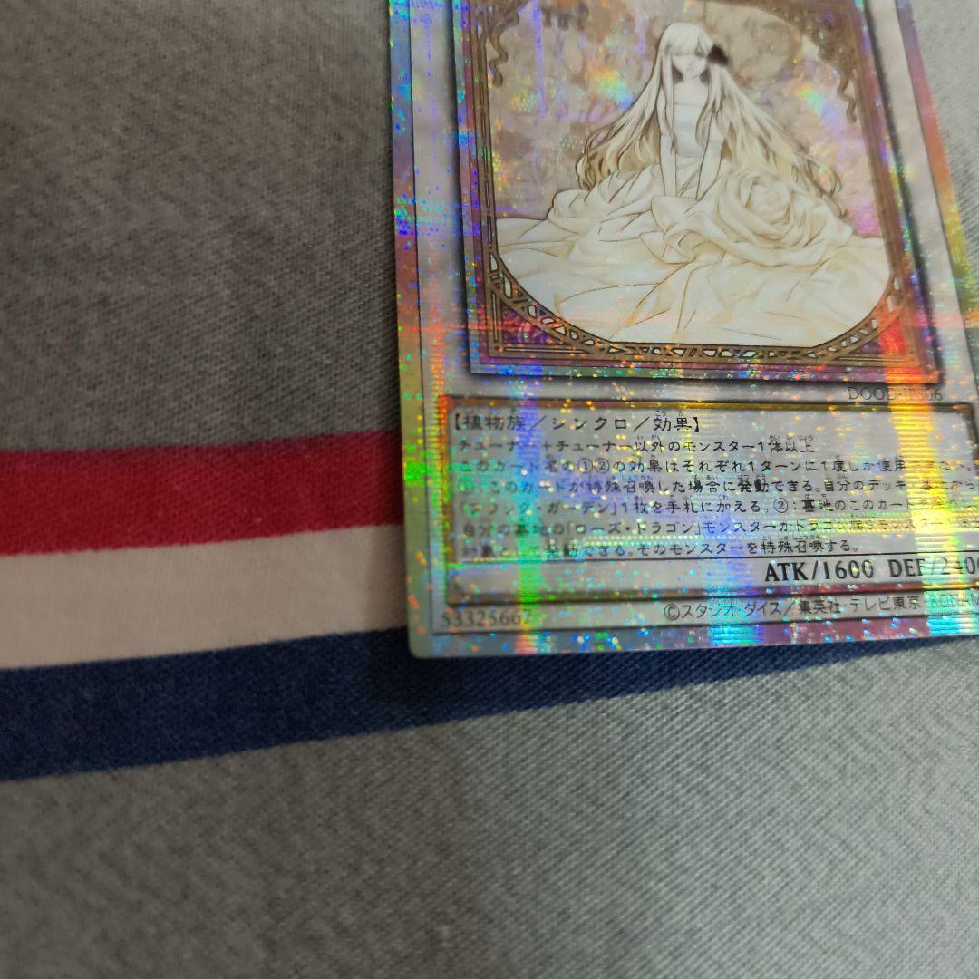 アジア キツあり 遊戯王　ガーデン・ローズ・メイデン　プリズマ　プリシク　絵違い