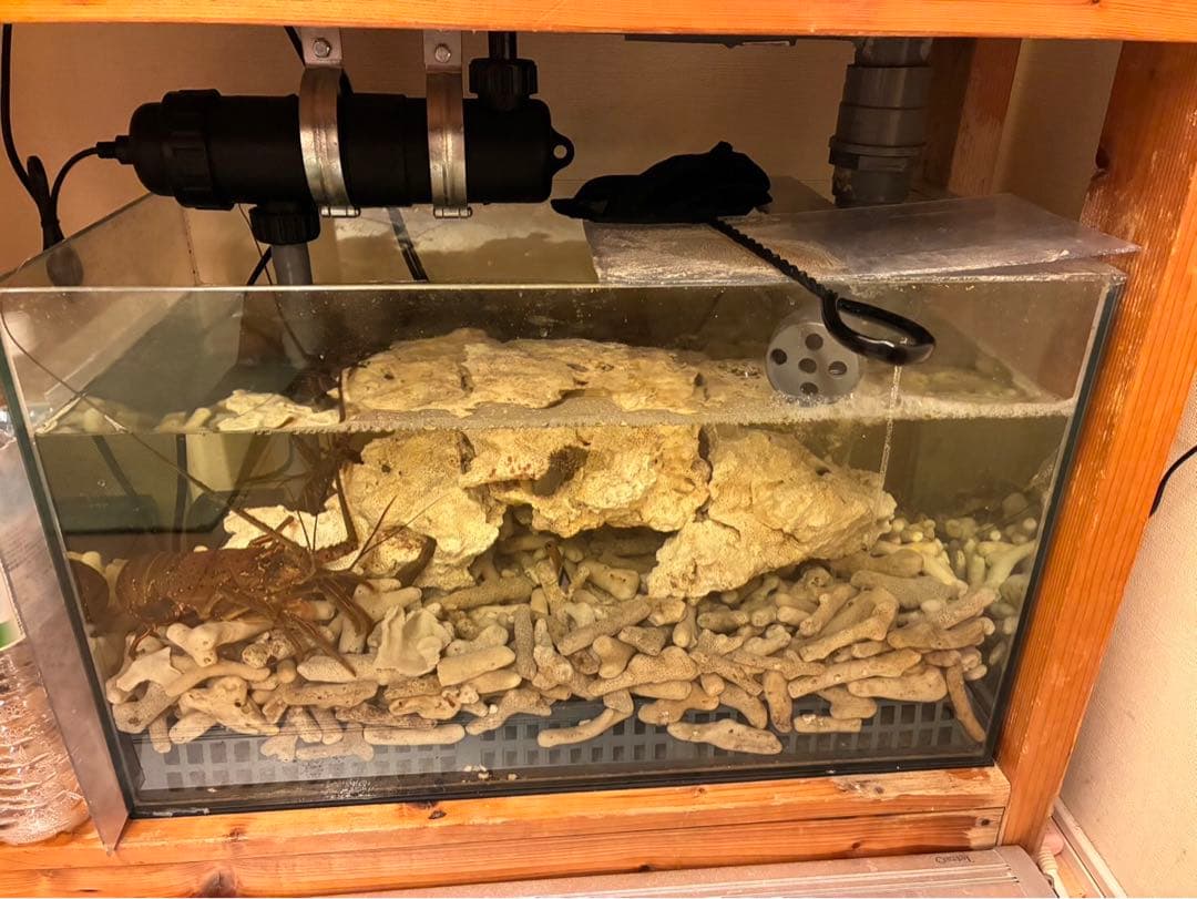 オーバーフロー水槽一式