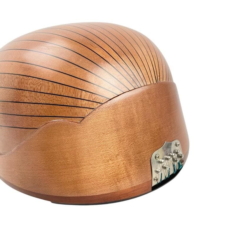 極美品●Suzuki マンドリン● M-210 1975年 ジャパンビンテージ