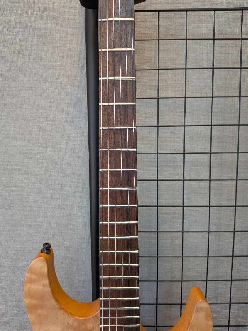 ギター Dragonfly Sottile 666 custom