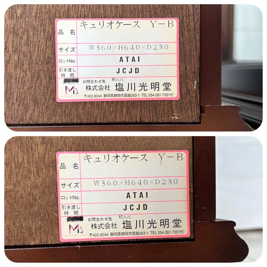 塩川光明堂　キュリオケース　Y-B 【2個セット】