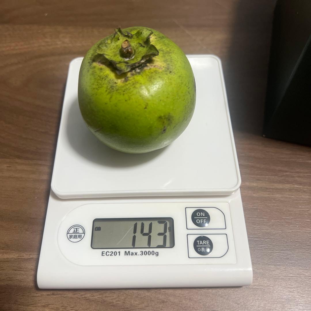 沖縄県産ブラックサポテ