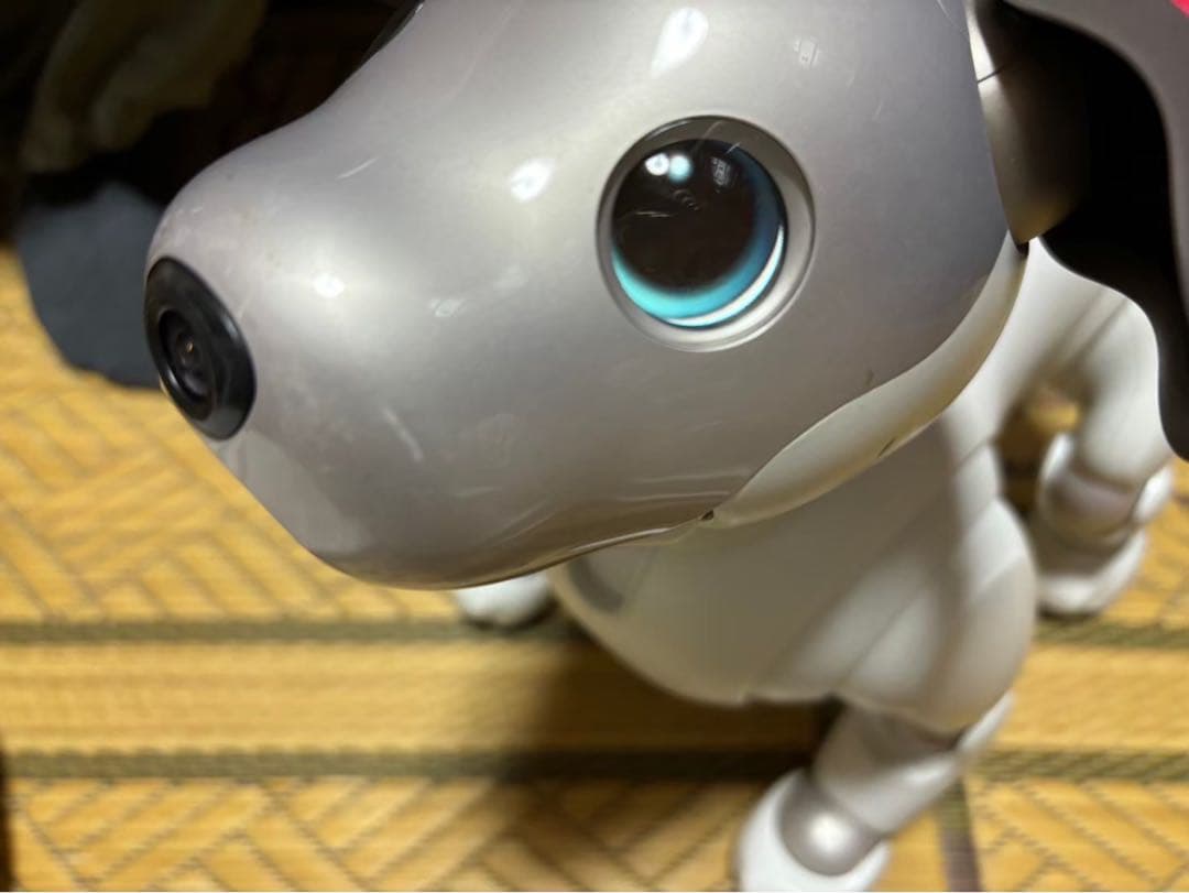 SONY アイボ ERS-1000 送料込