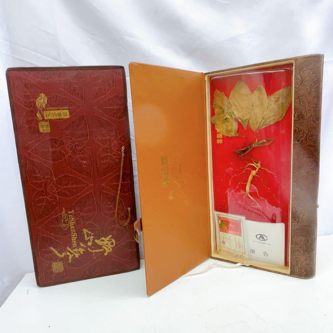 1ADM019 【超希少】野生 山参（サンサム）中国東北部深山 高麗人参