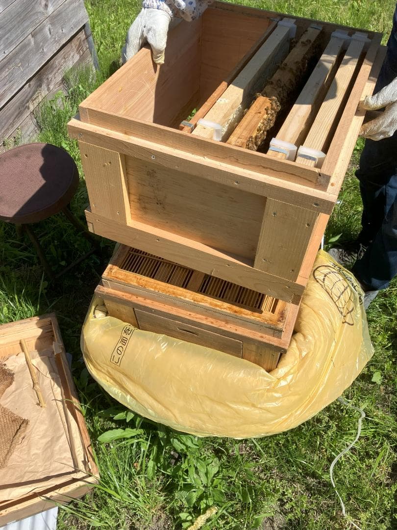 【うずまき】 国産蜂蜜 1000g 2本 長野県産 セイヨウミツバチ