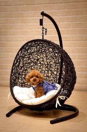 ☆新品未使用☆  愛犬 愛猫用 チェアー