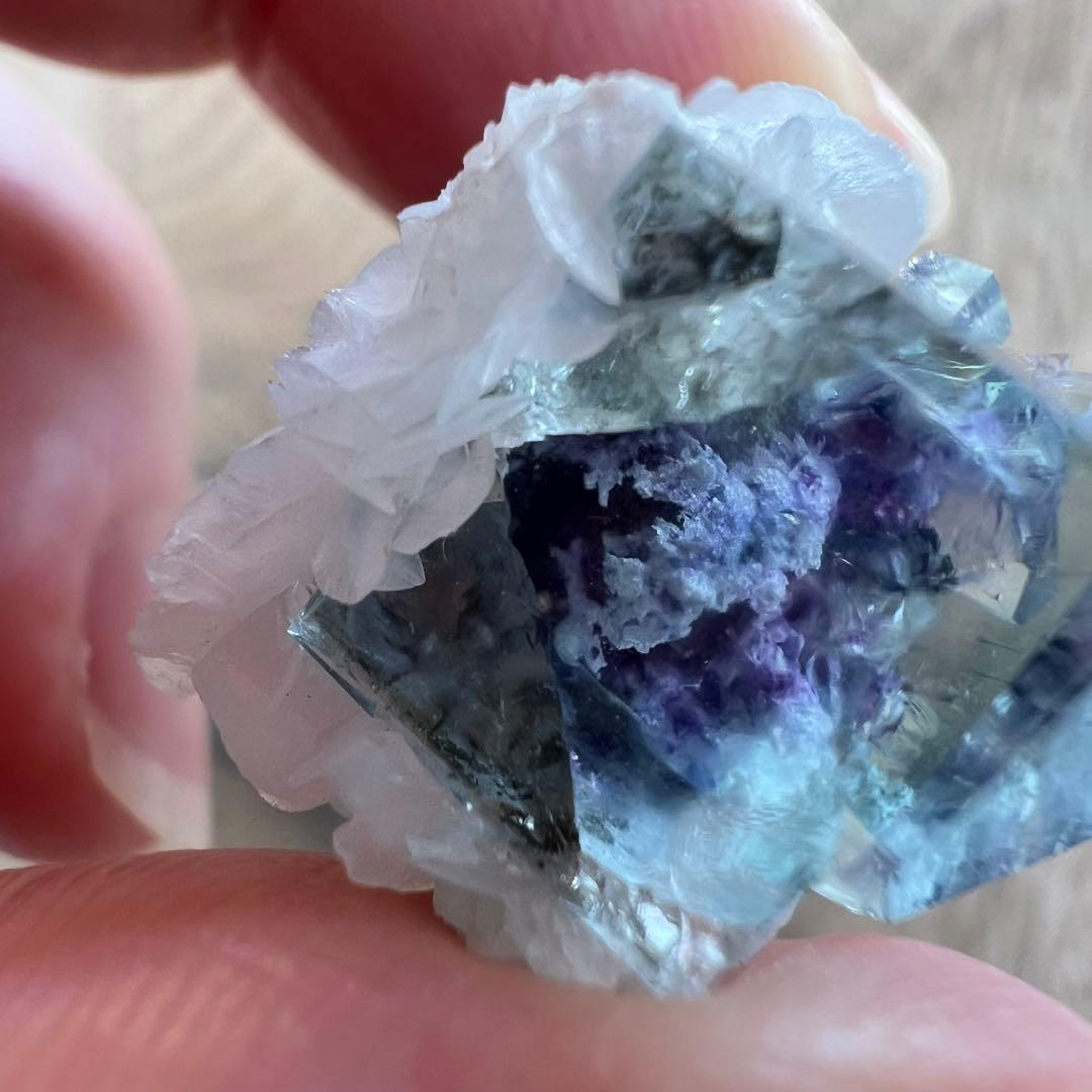 フローライト パイライト F2 カルサイト 共生 鉱物 標本 原石