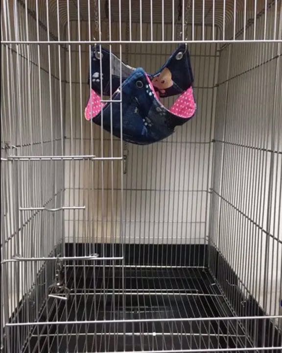 モモンガハウス(花柄パッチワーク柄)    夏仕様  涼しい夏生地を使用❗️