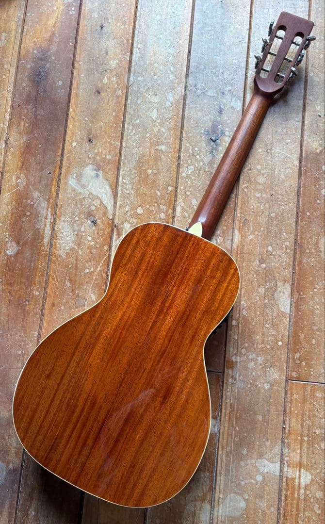 エレアコ DCT F-200E Fishman搭載