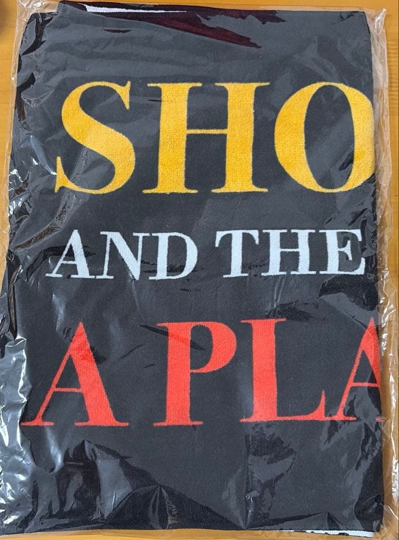 【限定品】【未開封】浜田省吾『渚園』復刻版 スポーツタオル