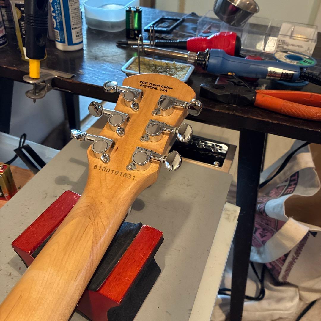 ピグノーズPGG200 サンバースト