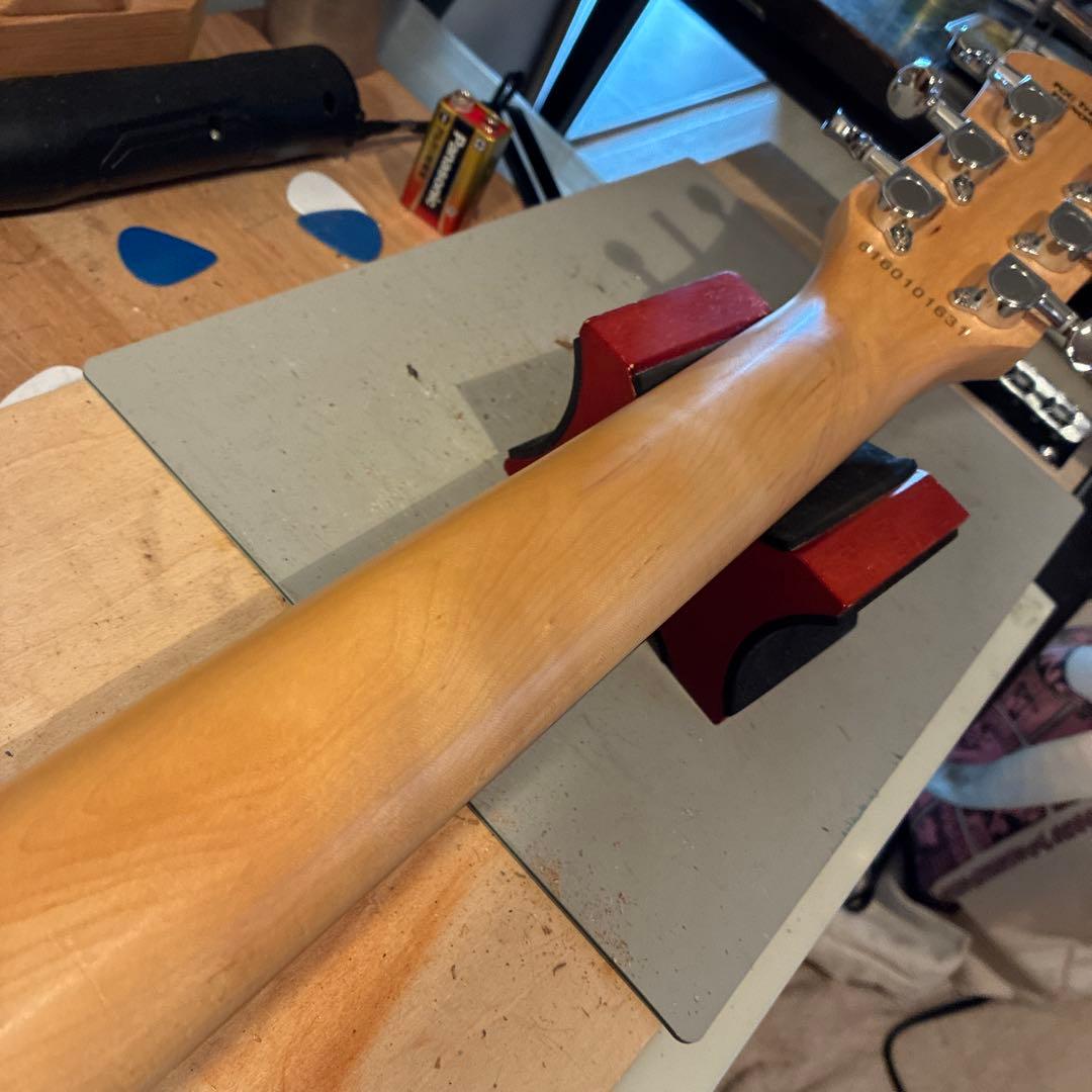 ピグノーズPGG200 サンバースト