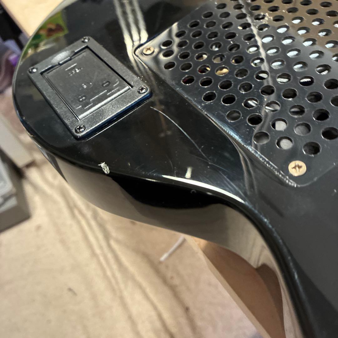 ピグノーズPGG200 サンバースト