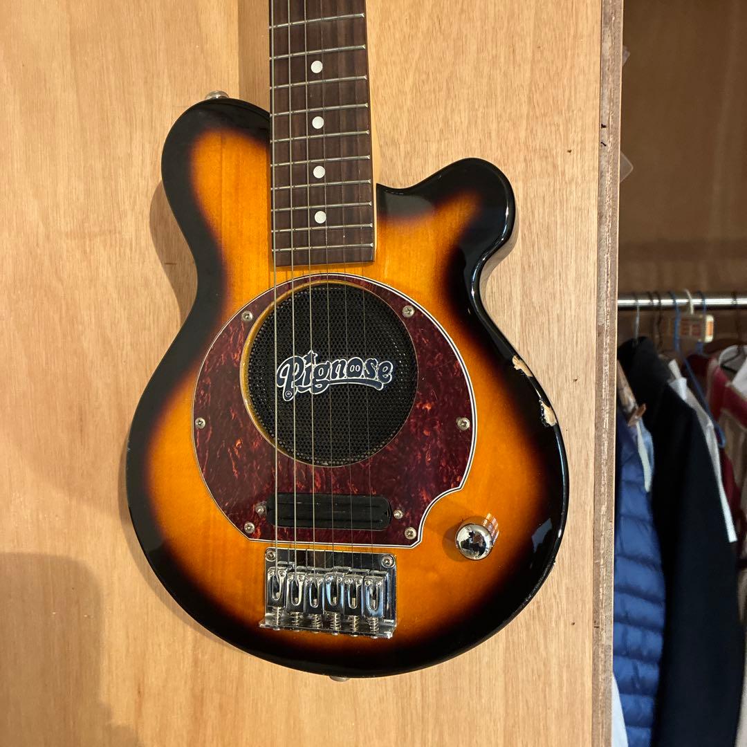 ピグノーズPGG200 サンバースト