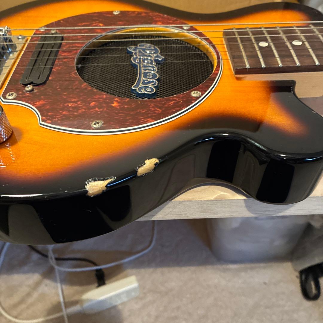 ピグノーズPGG200 サンバースト