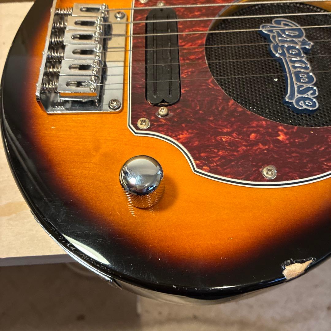 ピグノーズPGG200 サンバースト