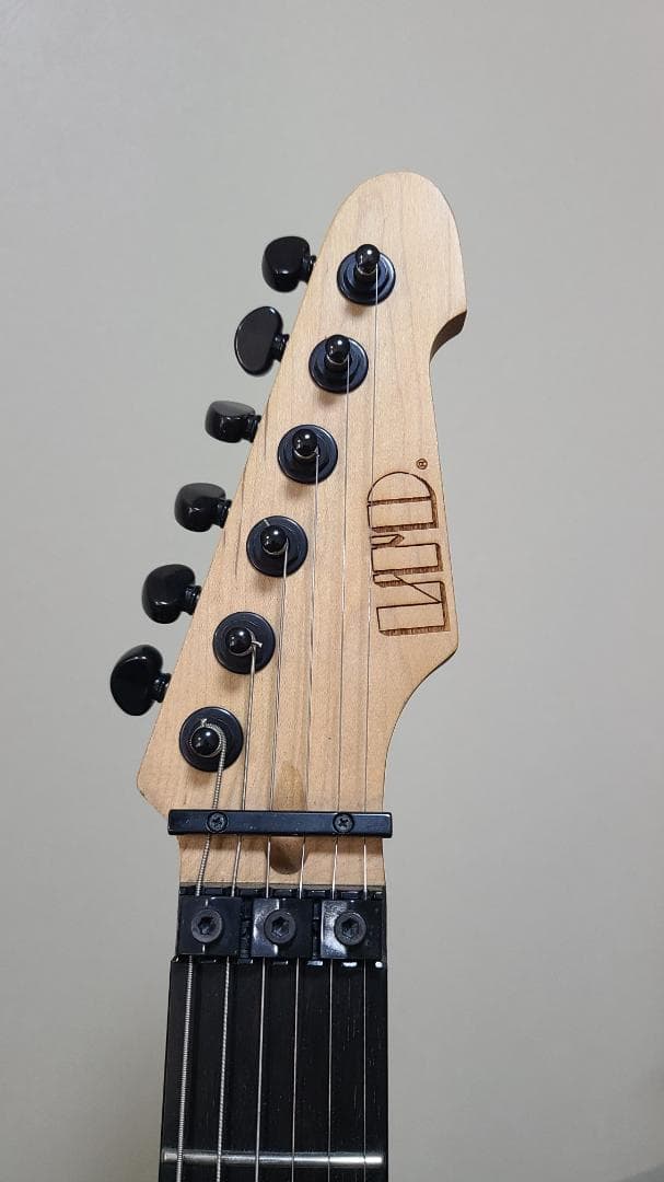 ギター ESP LTD GL Burnt Tiger