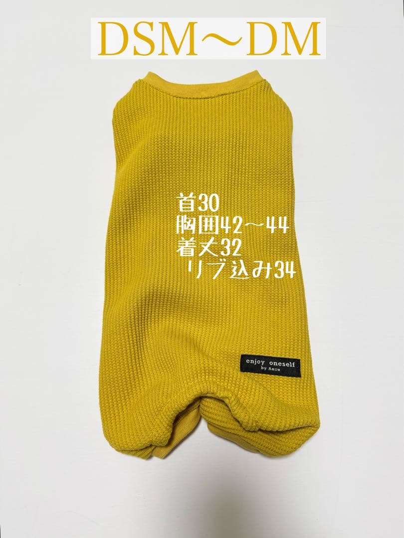 ダックスフンド　商品受付ページ　ロンパース　犬服　わんこ服　マスタード　ダックス