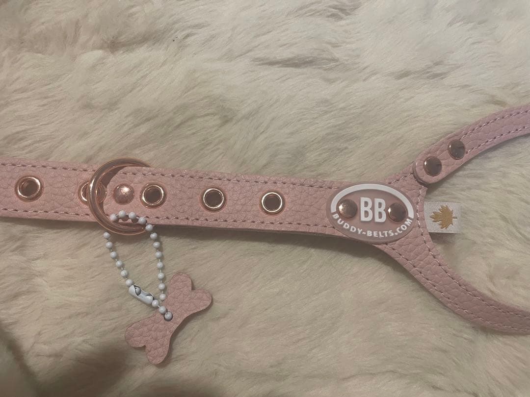 buddybelts 犬用ハーネス3号 2026限定色BRUSH