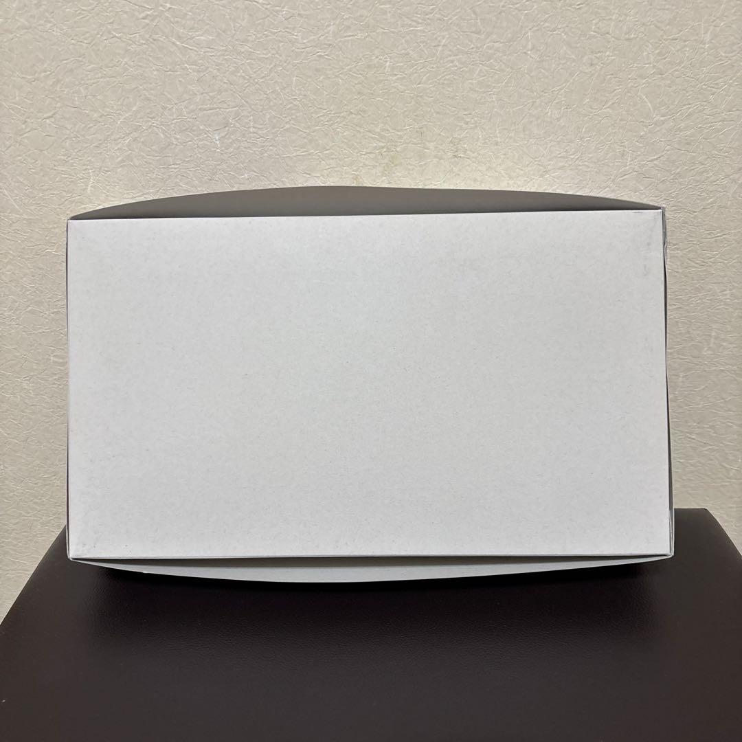 その他 REPSOL Honda RS250RW 2007 WGP250