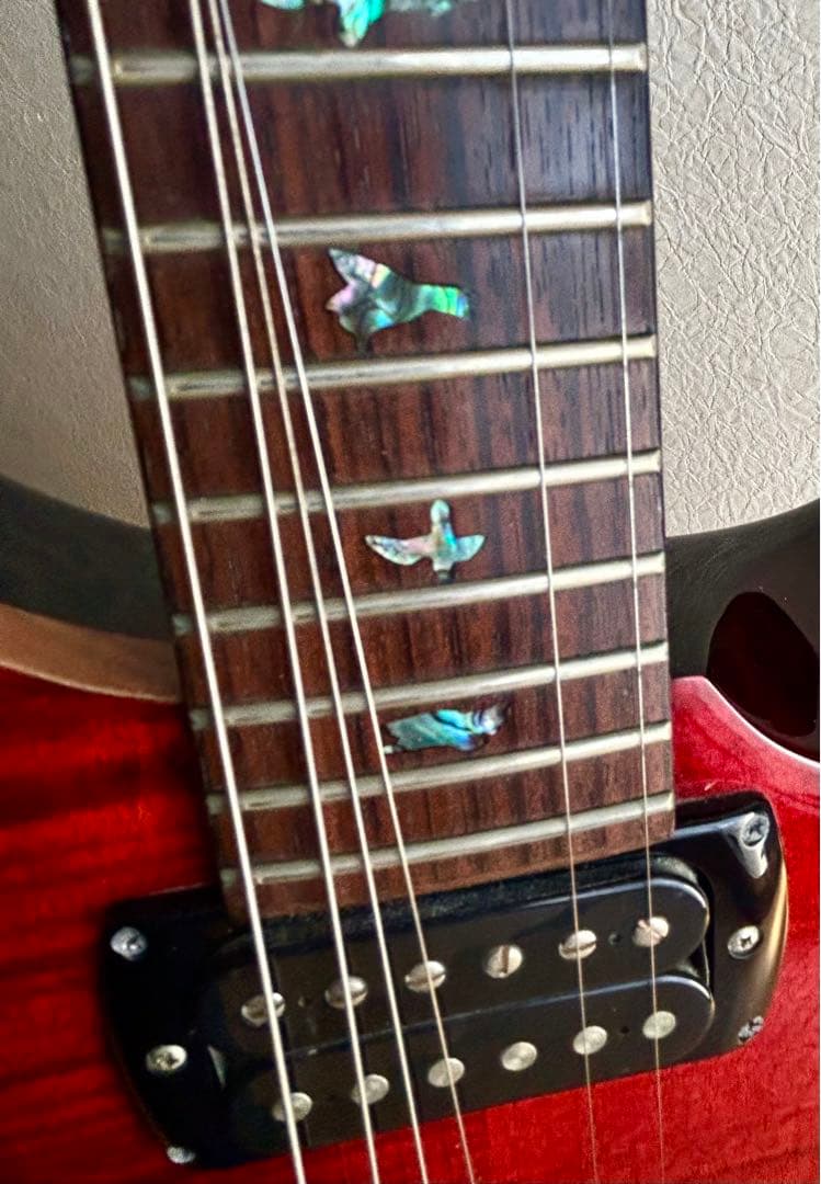 【希少モデル】PRS SE /SE Paul's Guitar Fire Red