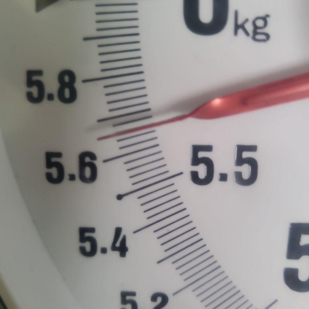 4️⃣ 山梨県産 シャインマスカット １1房入り 箱込み5.5キロ