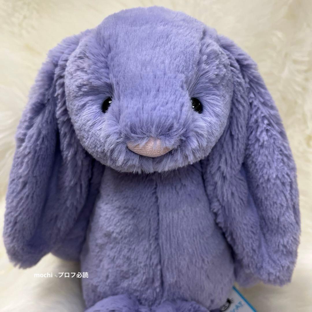 Original BashfulViolaBunny うさぎ