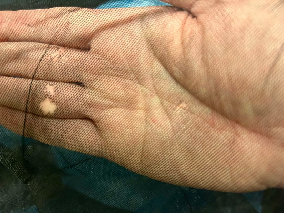 ZPacks Hexamid Solo オリジナル デッドストック 美品