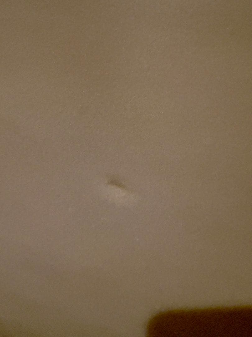 MAGIC CARPET HOUDINI サーフボード ミッドレングスFCS2