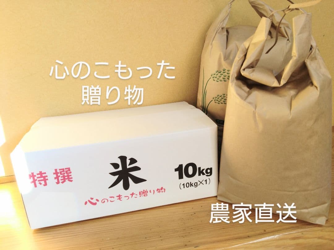 2 令和7年 自然栽培米 亀の尾20kg精米