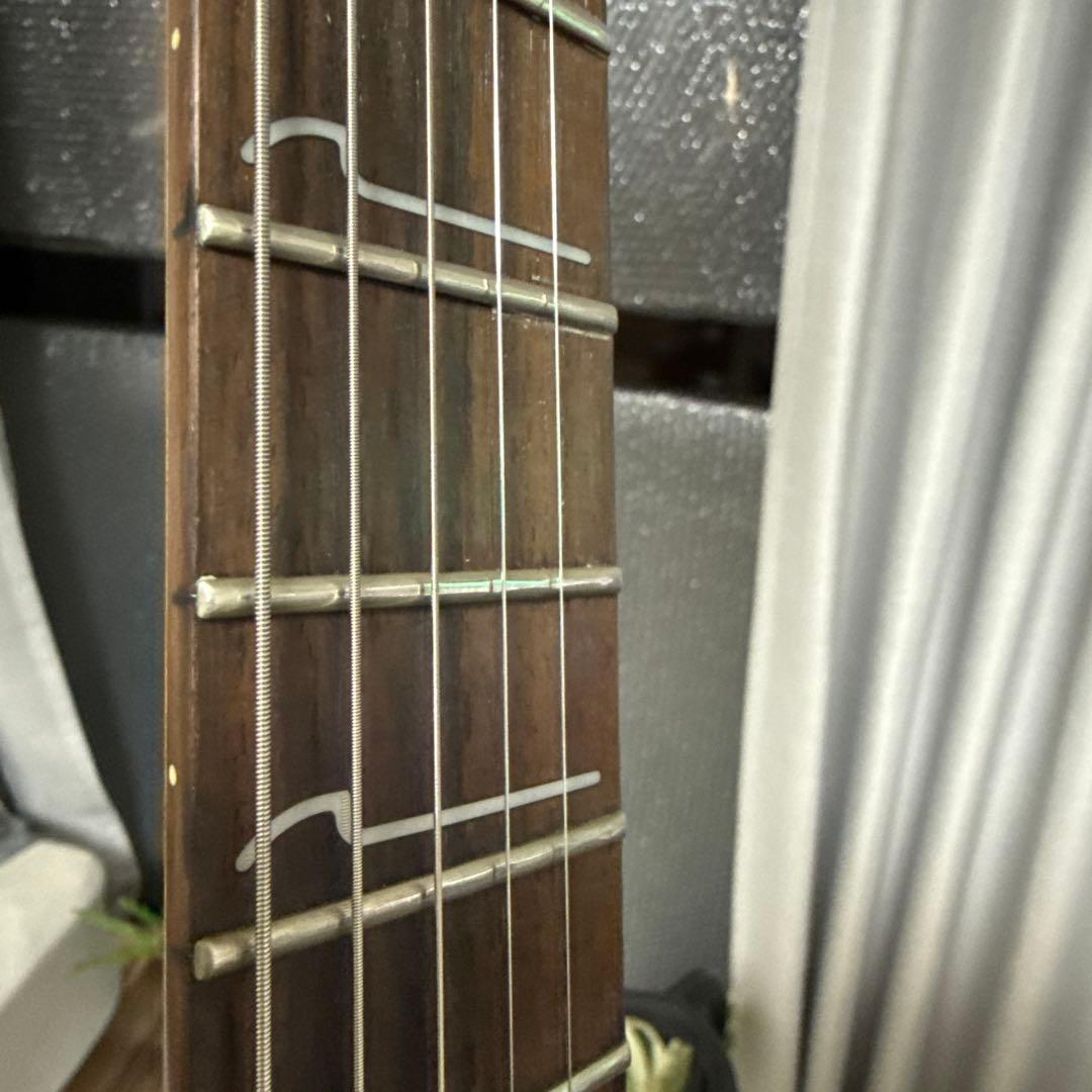 Ibanez（アイバニーズ）S Series（Sシリーズ)S570B