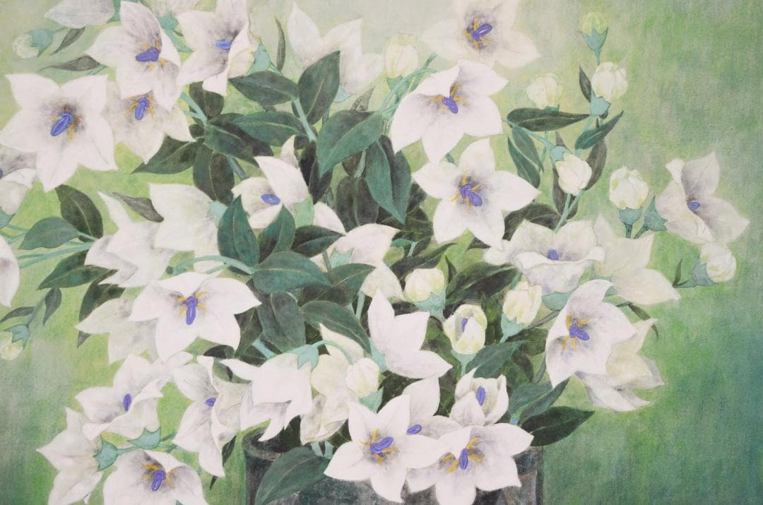 【作品名 「桔梗」 岩絵の具 日本画 】東山魁夷の流派