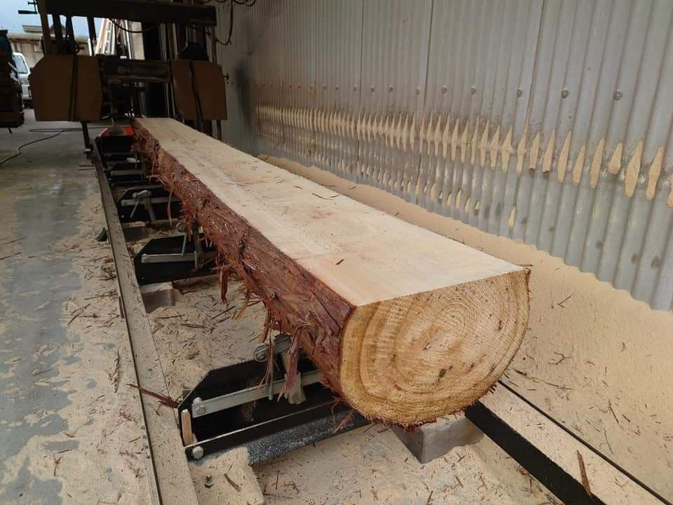 ひのき、すぎ、かんなくず ( オガクズ ) 購入、専用