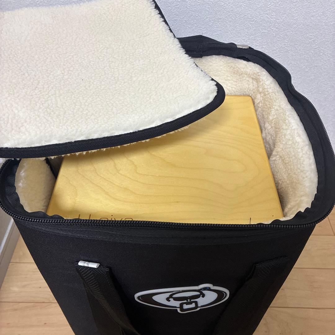 J.Leiva medina カホン　ケース付