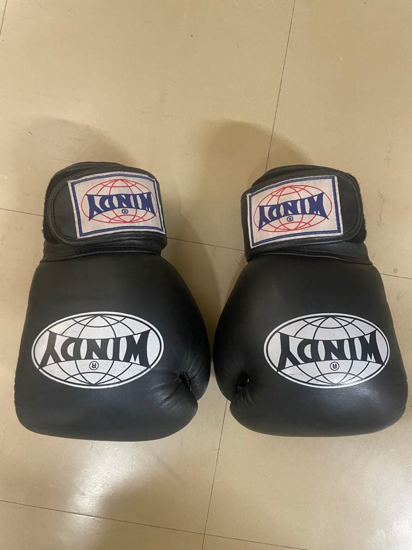 WINDY パンチンググローブ BGVH 10 oz ブラック