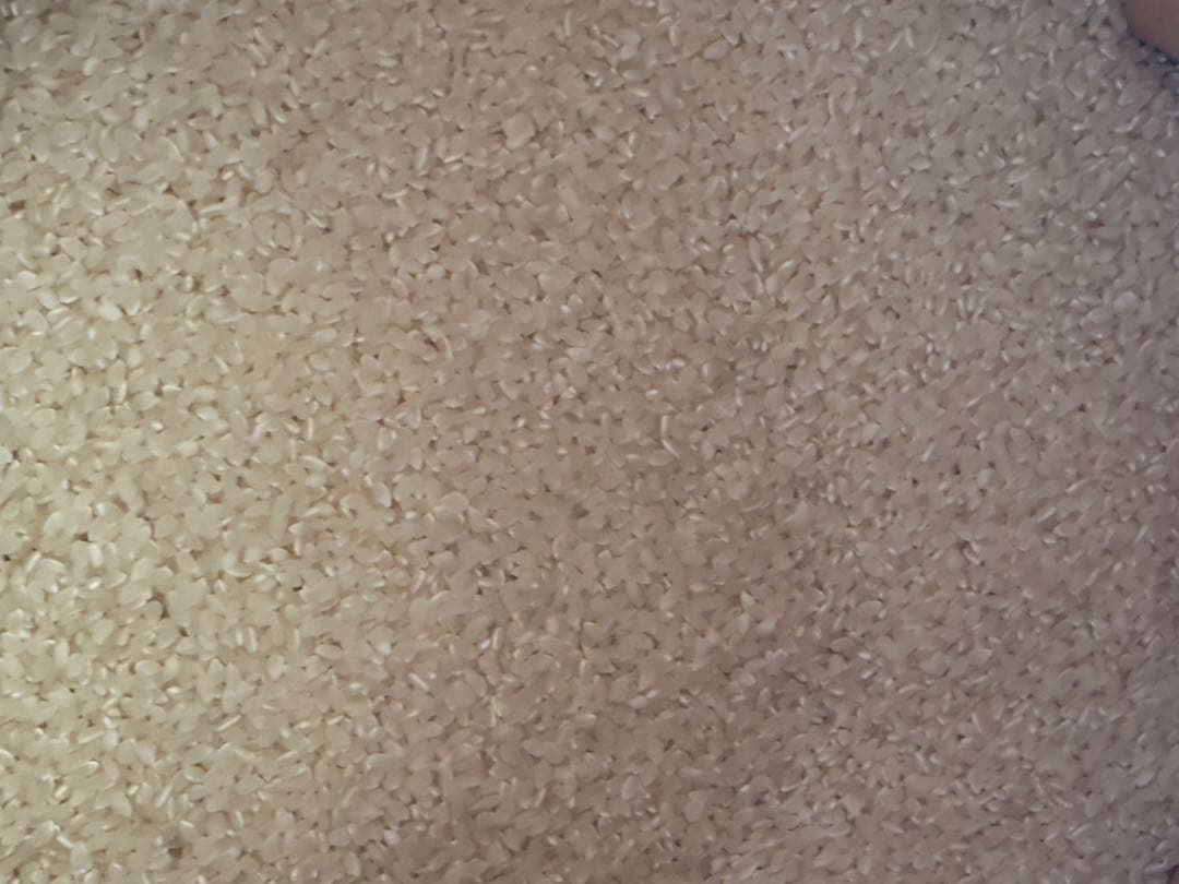 令和6年福島県会津産コシヒカリ白米27キロ　古米