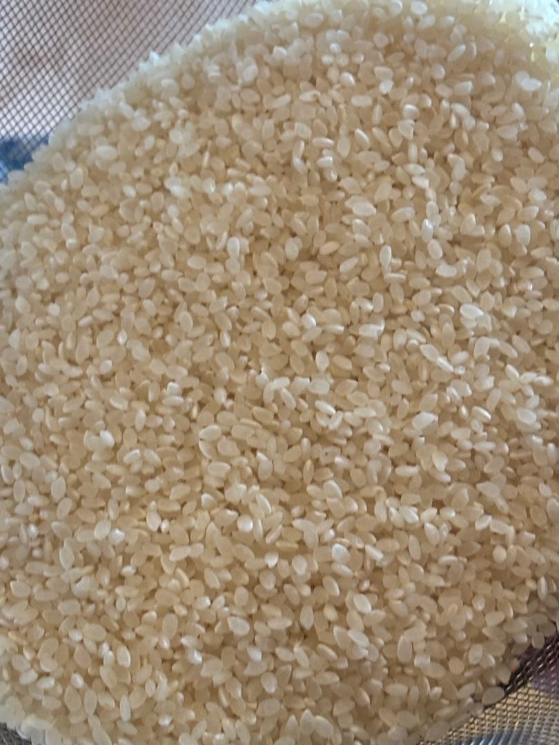 令和6年福島県会津産コシヒカリ白米27キロ　古米