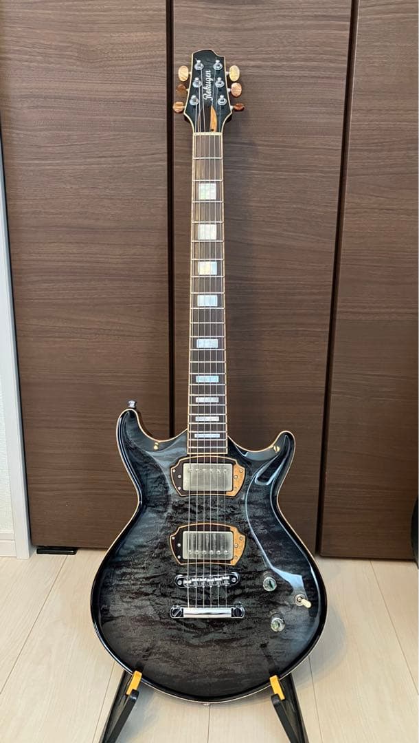 六弦琴ギター ケース付き