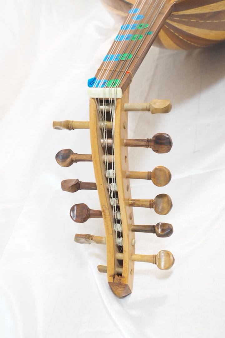 ウード 本体 ソフトケース付 中東楽器 民族楽器 弦楽器