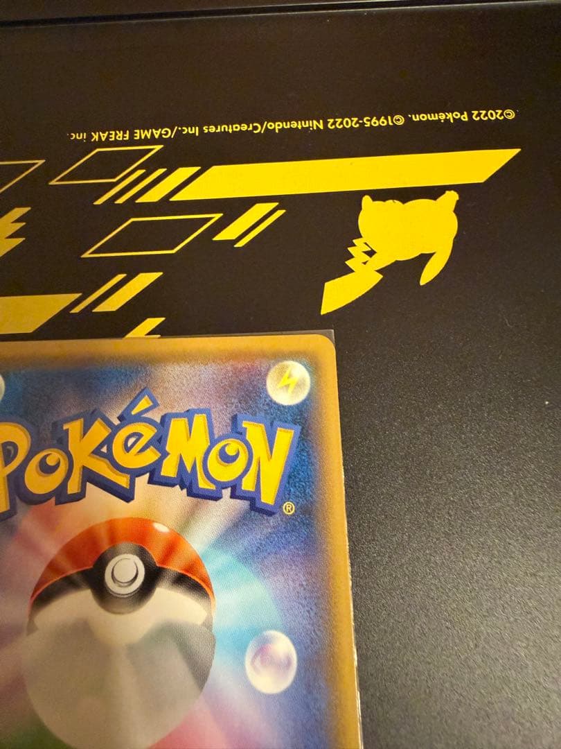 救助隊DXのピカチュウ