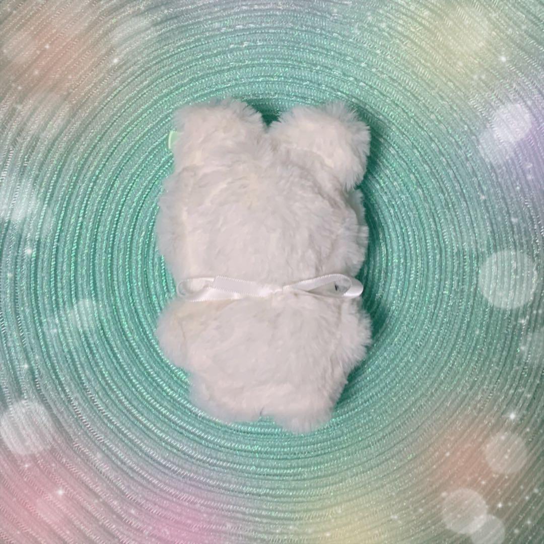 ぬいぐるみ　着ぐるみ　ねこ　ぬい服　10cm 15cm  ハンドメイド　着せ替え