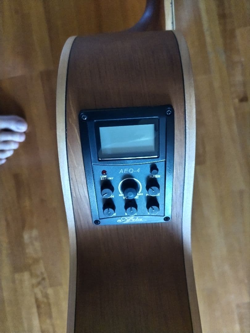 Aria 12弦エレアコ　FET-12-SPL N